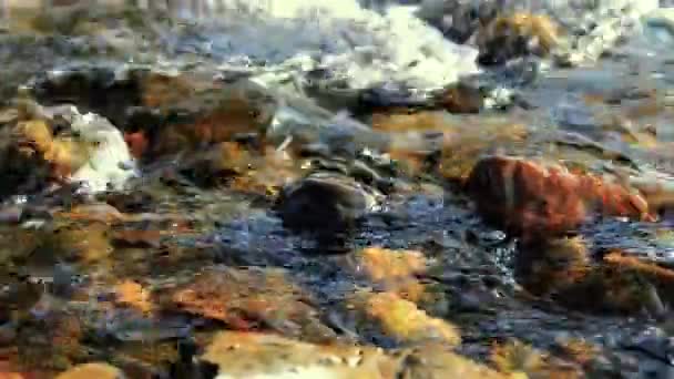 Dolly-Slider-Aufnahme des plätschernden Wassers in einem Gebirgsfluss in Waldnähe. Nasse Felsen und Sonnenstrahlen. Horizontale stetige Bewegung. — Stockvideo