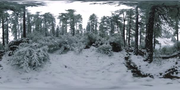 Lago de montaña 360 vr en la época de invierno. Naturaleza salvaje y valle del monte. Bosque verde de pinos y nubes rápidas en el cielo . — Vídeo de stock