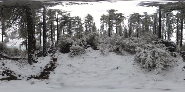 Mountain lake 360 vr at the winter time. Wild nature and mount valley. Green forest of pine trees and fast clouds on sky. — Stock Video