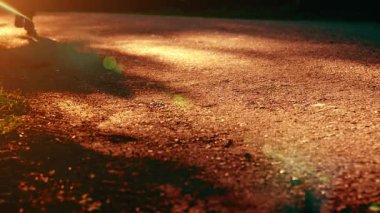 Asfalt yolda koşan sporcu. Kırsal şehir parkı. Yeşil ağaç ormanı ve ufukta güneş ışığı.