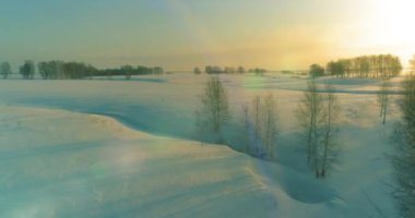 Soğuk arktik alan manzarası, karlı ağaçlar, buz nehri ve ufukta güneş ışınları. Aşırı düşük sıcaklık havası.