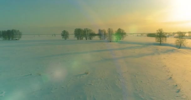 Vista aérea da paisagem fria do campo ártico, árvores com neve de geada, rio de gelo e raios de sol ao longo do horizonte. Tempo extremo de baixa temperatura. — Vídeo de Stock