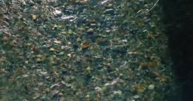 Güneşli yaz sabahında temiz ve taze bir dağ nehri üzerinde uçuşun ortasındayız. Üst görünüm ve yatay hareket