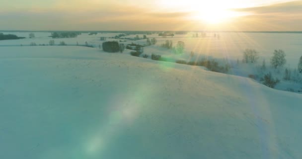 Aerial view of cold arctic field landscape, trees with frost snow, ice river and sun rays over horizon. Extreme low temperature weather. — Stock Video