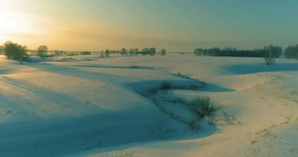 Αεροφωτογραφία του τοπίου του παγωμένου αρκτικού πεδίου, δέντρα με παγωμένο χιόνι, παγωμένο ποτάμι και ακτίνες του ήλιου πάνω από τον ορίζοντα. Ακραίος καιρός χαμηλής θερμοκρασίας. — Αρχείο Βίντεο