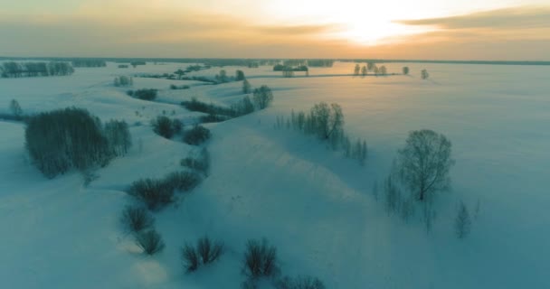 Vue aérienne du paysage froid des champs arctiques, des arbres avec neige verglaçante, rivière de glace et rayons du soleil sur l'horizon. Conditions météorologiques extrêmes à basse température. — Video