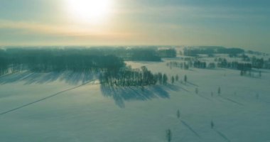 Soğuk kış manzarası kutup bölgesi, karla kaplı ağaçlar, ufukta buz nehri ve güneş ışınları. Aşırı düşük sıcaklık havası.