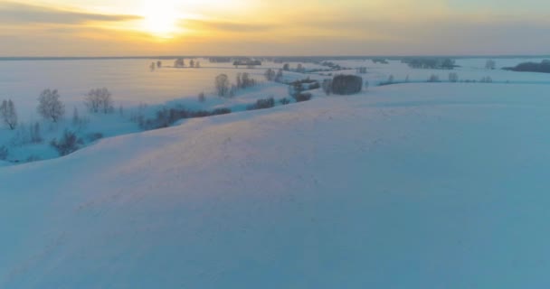 Luchtfoto van het koude arctische veld landschap, bomen met vorst sneeuw, ijsrivier en zonnestralen over de horizon. Extreem lage temperatuur weer. — Stockvideo