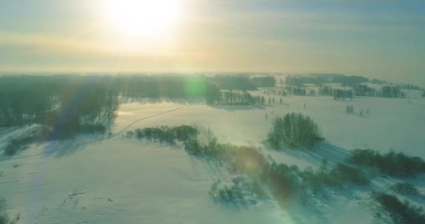 Vista aerea del freddo paesaggio invernale campo artico, alberi coperti di neve gelata, fiume ghiaccio e raggi solari all'orizzonte. Clima estremo a bassa temperatura. — Video Stock