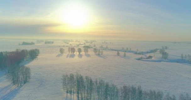 Soğuk kış manzarası kutup bölgesi, karla kaplı ağaçlar, ufukta buz nehri ve güneş ışınları. Aşırı düşük sıcaklık havası. — Stok video