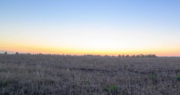 Płaska łąka łąka timelapse w letnim czasie wschodu słońca. Dzika przyroda i wiejskie pole trawy. Promienie słońca i zielone drzewa. Suwak z wózkiem silnikowym i panorama — Wideo stockowe