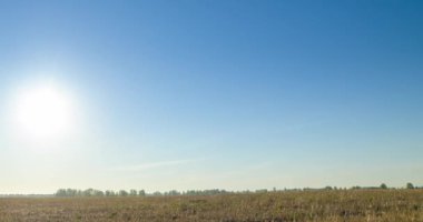 Yaz günbatımında düz tepe çayır zaman çizelgesi. Vahşi doğa ve kırsal çimler. Güneş ışınları ve yeşil ağaçlar. Motorlu doli kaydırma ve panorama