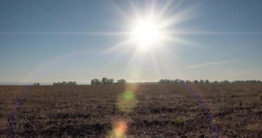 Yaz günbatımında düz tepe çayır zaman çizelgesi. Vahşi doğa ve kırsal çimler. Güneş ışınları ve yeşil ağaçlar. Motorlu doli kaydırma ve panorama