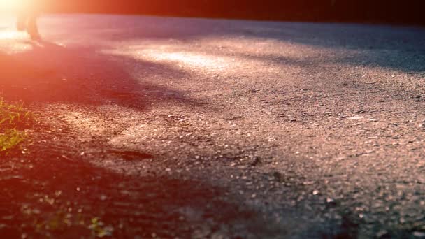 Sport man running at asphalt road. Rural city park. Green tree forest and sun rays on horizon. — Stock Video