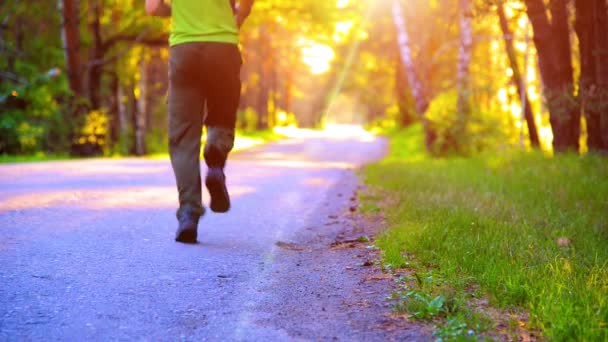 Un uomo sportivo che corre sulla strada asfaltata. Parco urbano rurale. Bosco alberato verde e raggi di sole all'orizzonte. — Video Stock