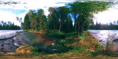 Vahşi bir ormanın 360 VR sanal gerçekliği. Çam ormanı, küçük, hızlı, soğuk dağ nehri. Ulusal park.