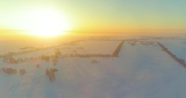 Vista aérea de drones del frío paisaje invernal con campo ártico, árboles cubiertos de nieve helada y rayos de sol matutinos sobre el horizonte. — Vídeo de stock