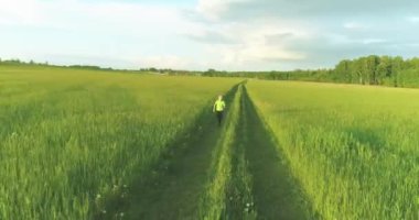 Sportif çocuk yeşil buğday tarlasında koşuyor. Kırsal çayırlarda akşam sporu alıştırmaları. Mutlu bir çocukluk sağlıklı bir yaşam biçimidir. Radikal hareket, güneş ışınları ve ot.