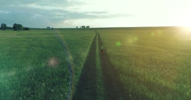 Sportovní dítě běhá přes pole zelené pšenice. Večerní sportovní cvičení na venkovské louce. Šťastné dětství je zdravý způsob života. Radiální pohyb, sluneční paprsky a tráva. — Stock video