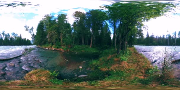 360 VR réalité virtuelle d'une forêt sauvage. Forêt de pins, petite rivière de montagne froide et rapide. Parc national. — Video