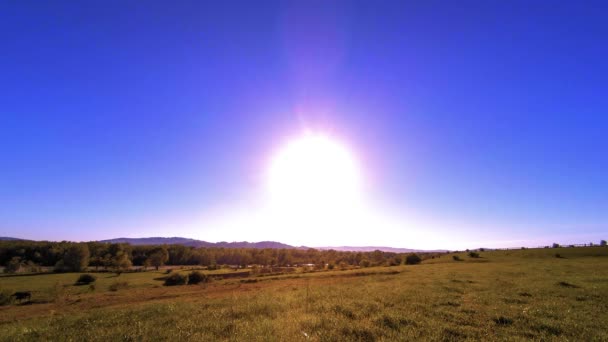 4K UHD górska łąka timelapse w lecie. Chmury, drzewa, zielona trawa i promieniowanie słoneczne. — Wideo stockowe