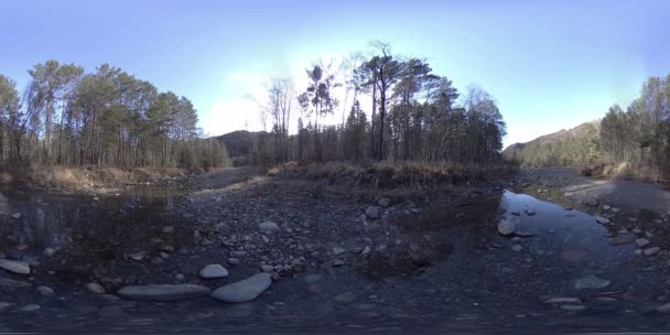 360 VR virtuaalitodellisuus villi vuoret, mäntymetsä ja joki virtaa. Kansallispuisto, niitty ja auringonsäteet. — kuvapankkivideo