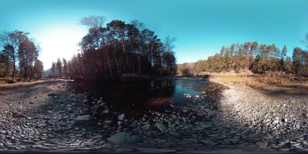 360野生の山、松林や川の流れのVR仮想現実。国立公園、牧草地、太陽光線. — ストック動画