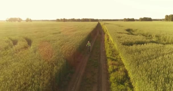 Vista aérea sobre o menino, que monta uma bicicleta através de um campo de grama de trigo na antiga estrada rural. Luz solar e vigas. — Vídeo de Stock