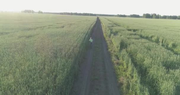 Vista aérea sobre o menino, que monta uma bicicleta através de um campo de grama de trigo na antiga estrada rural. Luz solar e vigas. — Vídeo de Stock