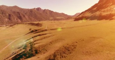 Güneşli yaz sabahında havadan kırsal dağ yolu ve çayır. Asfalt karayolu ve nehir.