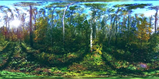 UHD 4K 360 VR Réalité virtuelle d'un parc municipal zone de loisirs. Arbres et herbe verte le jour d'automne ou d'été — Video