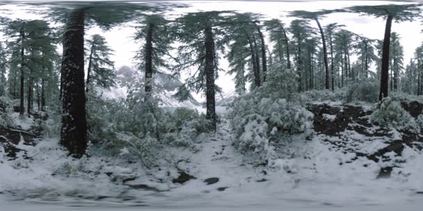 Lago de montaña 360 vr en la época de invierno. Naturaleza salvaje y valle del monte. Bosque verde de pinos y nubes rápidas en el cielo . — Vídeo de stock