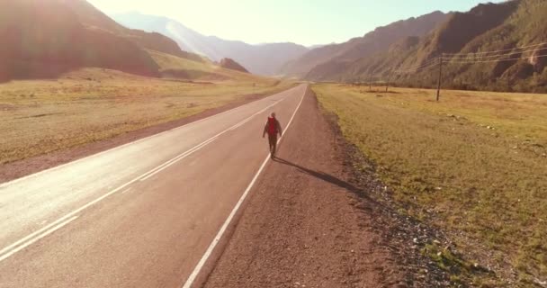 Vol au-dessus de l'auto-stoppeur touristique marchant sur la route asphaltée. Grande vallée rurale au jour d'été. Sac à dos randonneur gars. — Video