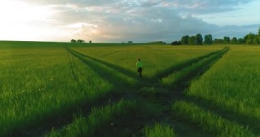 Sportif çocuk yeşil buğday tarlasında koşuyor. Kırsal çayırlarda akşam sporu alıştırmaları. Mutlu bir çocukluk sağlıklı bir yaşam biçimidir. Radikal hareket, güneş ışınları ve ot.