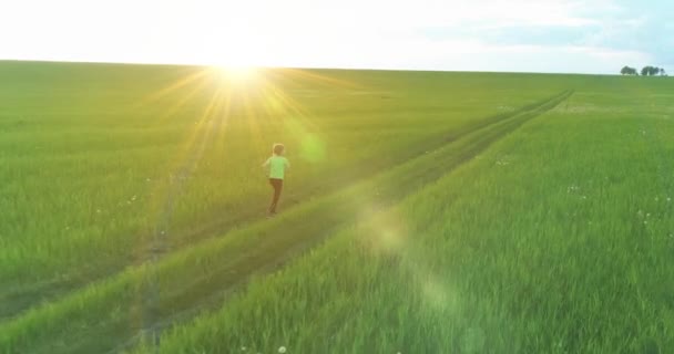 瘦小的孩子跑过一片绿色的麦田.在农村草地上进行夜间体育训练。幸福的童年是一种健康的生活方式。径向运动、太阳光和青草. — 图库视频影像
