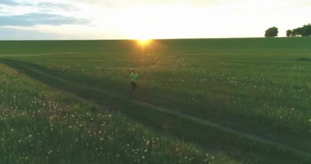 A criança desportiva atravessa um campo de trigo verde. Exercícios de treino desportivo nocturno no prado rural. Uma infância feliz é um modo de vida saudável. Movimento radial, raios de sol e grama. — Vídeo de Stock