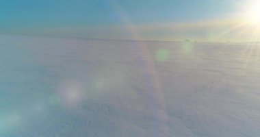 Soğuk kış manzarası kutup bölgesi, karla kaplı ağaçlar, ufukta buz nehri ve güneş ışınları. Aşırı düşük sıcaklık havası.