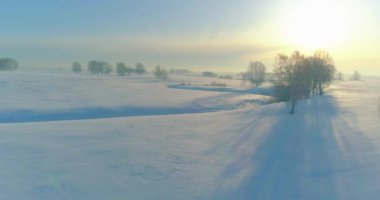 Soğuk kış manzarası kutup bölgesi, karla kaplı ağaçlar, ufukta buz nehri ve güneş ışınları. Aşırı düşük sıcaklık havası.