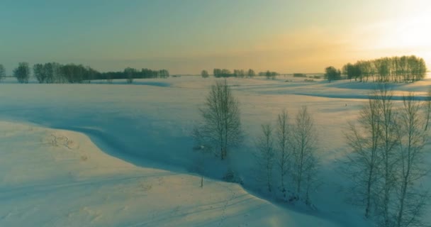 Vista aérea del frío paisaje del campo ártico, árboles con nieve helada, ríos de hielo y rayos de sol sobre el horizonte. Clima de baja temperatura extrema. — Vídeos de Stock