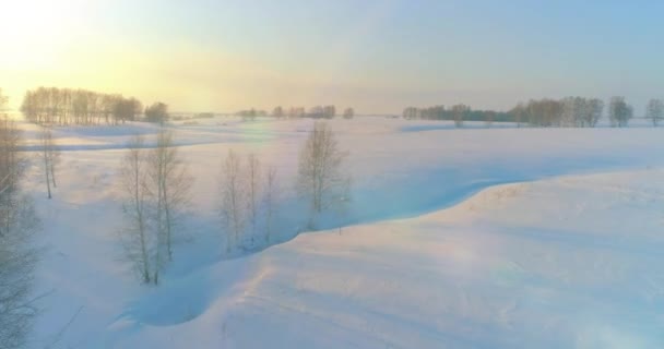 Widok z powietrza zimnego arktycznego krajobrazu pola, drzew z mrozem śniegu, rzeki lodu i promieni słonecznych na horyzoncie. Ekstremalnie niska temperatura. — Wideo stockowe