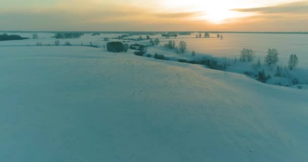 Veduta aerea del freddo paesaggio del campo artico, alberi con neve gelata, fiume ghiaccio e raggi solari all'orizzonte. Clima estremo a bassa temperatura. — Video Stock