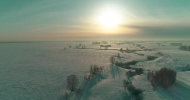 Aerial view of cold winter landscape arctic field, trees covered with frost snow, ice river and sun rays over horizon. Extreme low temperature weather. — Stock Video