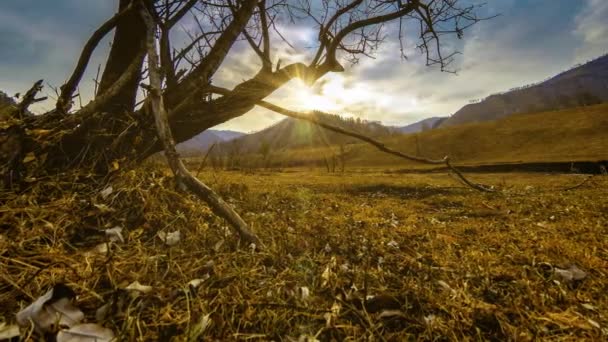 Lapso de tempo da árvore da morte e grama amarela seca na paisagem montanhosa com nuvens e raios de sol. Movimento deslizante horizontal — Vídeo de Stock