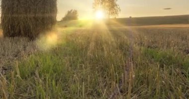 Yaz günbatımında düz tepe çayır zaman çizelgesi. Vahşi doğa ve çim tarlasında kırsal samanlıklar. Güneş ışınları ve yeşil ağaçlar. Motorlu doli kaydırıcı