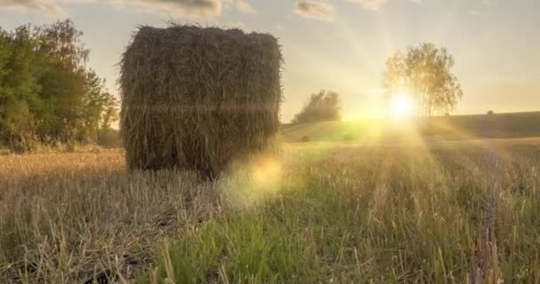 Плоский пагорб луговий часовий пояс в літній час заходу сонця. Дика природа та сільські стовпи сіна на трав'яному полі. Сонячні промені і зелені дерева. Моторизований ляльковий повзунок — стокове відео