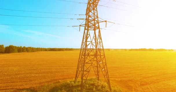 Vuelo de movimiento vertical cerca de la torre de alta tensión y líneas eléctricas en el campo verde y amarillo — Vídeos de Stock