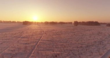 Arktik çayırlı soğuk kış manzarası, karla kaplı ağaçlar ve ufukta sabah güneşleri..