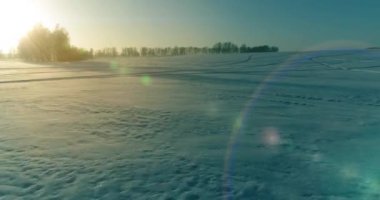 Arktik çayırlı soğuk kış manzarası, karla kaplı ağaçlar ve ufukta sabah güneşleri..