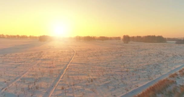 Vedere dronă aeriană a peisajului rece de iarnă cu câmp arctic, copaci acoperiți cu zăpadă înghețată și raze de soare de dimineață peste orizont . — Videoclip de stoc