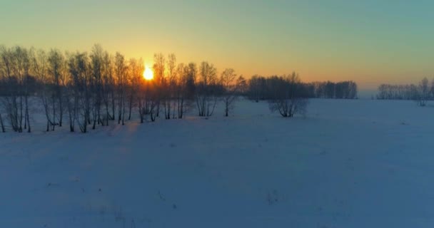 Vista aérea do drone da paisagem fria do inverno com campo ártico, árvores cobertas com neve da geada e raios do sol da manhã sobre o horizonte. — Vídeo de Stock